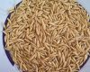 سبوس برنج | فواید سبوس برنج برای لاغری