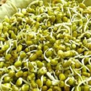 جوانه ماش | خواص بی نظیر جوانه ماش