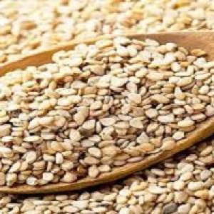 کنجد | کنجد چه خاصیتی دارد؟