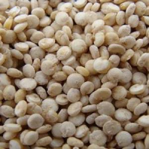کینوا | کینوا چیست؟ چه خواصی دارد؟