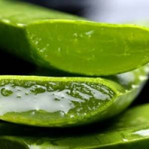 خواص شگفت انگیز آلوئه ورا برای کودک