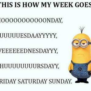 آموزش زبان | معنی ونحوه تلفظ I had a long week